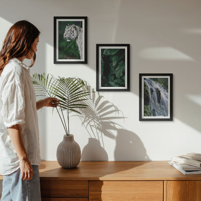 Conjunto de 3 quadros decorativos Folhas de tigre branco e cachoeira em ambiente natural.