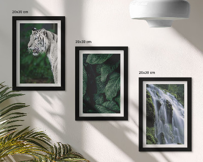 Conjunto de 3 quadros decorativos Folhas de tigre branco e cachoeira em ambiente natural.