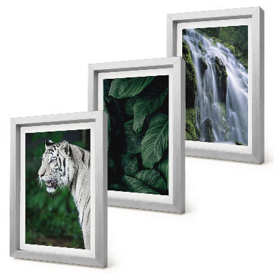 Conjunto de 3 quadros decorativos Folhas de tigre branco e cachoeira em ambiente natural.