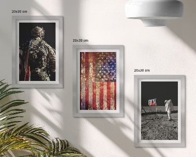 Conjunto de molduras com imagens Símbolos nacionais americanos Bandeira dos EUA