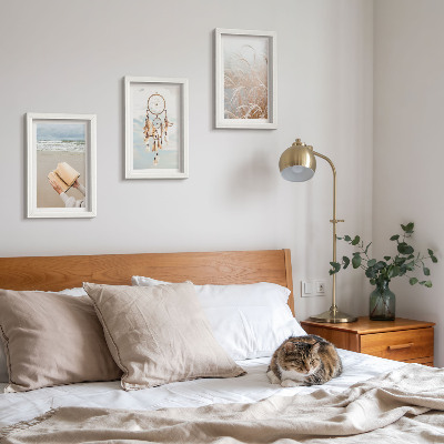 Conjunto de molduras com imagens Paisagens tranquilas, vistas delicadas de verão, estilo boho