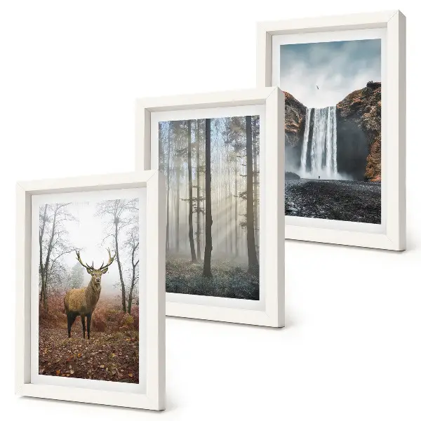 Conjunto de quadros decorativos com imagens paisagens de natureza selvagem com veados