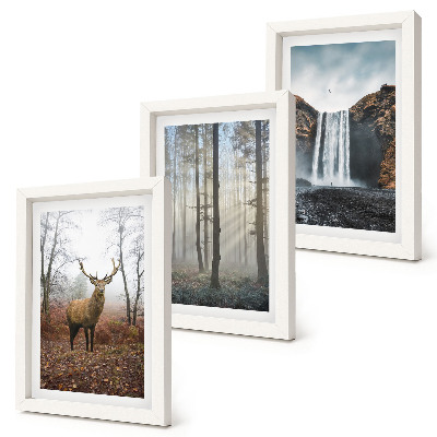 Conjunto de molduras com imagens Paisagens florestais, natureza selvagem, veados
