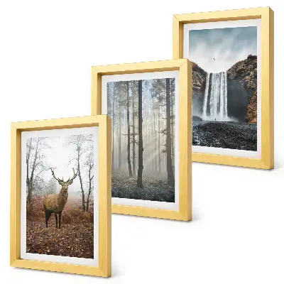 Conjunto de quadros decorativos com imagens paisagens de natureza selvagem com veados