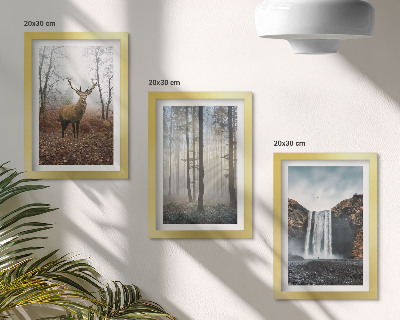 Conjunto de molduras com imagens Paisagens florestais, natureza selvagem, veados
