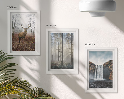 Conjunto de molduras com imagens Paisagens florestais, natureza selvagem, veados