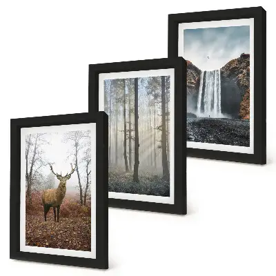 Conjunto de quadros decorativos com imagens paisagens de natureza selvagem com veados