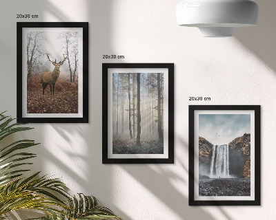 Conjunto de molduras com imagens Paisagens florestais, natureza selvagem, veados