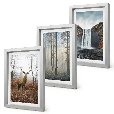 Conjunto de quadros decorativos com imagens paisagens de natureza selvagem com veados