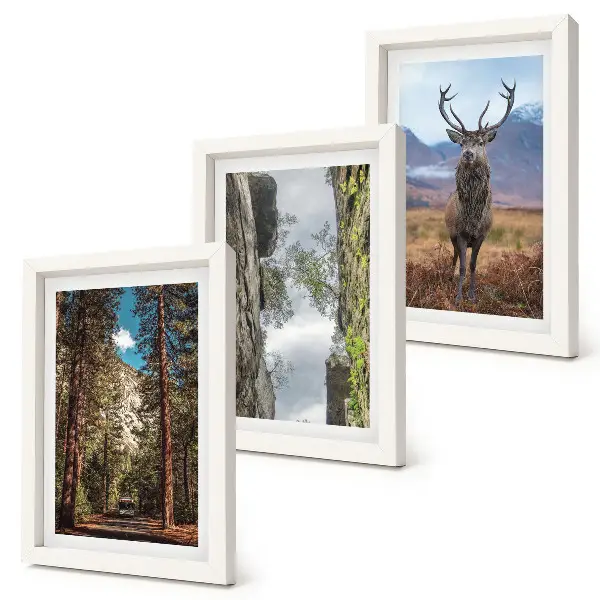 Conjunto de 3 quadros decorativos com estampa de estrada na floresta, montanhas e veados