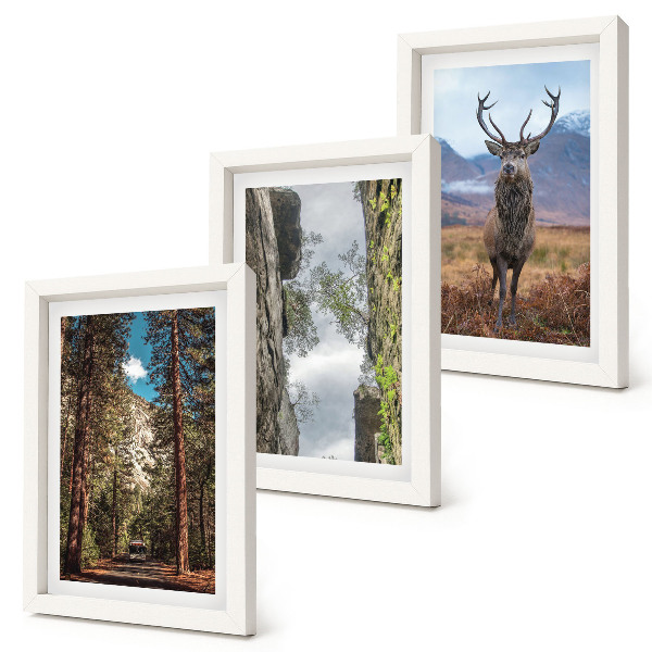 Conjunto de 3 quadros decorativos Estrada na floresta, montanhas e veados na natureza.