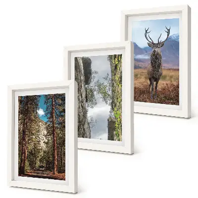 Conjunto de 3 quadros decorativos com estampa de estrada na floresta, montanhas e veados