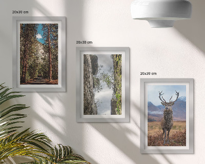 Conjunto de 3 quadros decorativos Estrada na floresta, montanhas e veados na natureza.