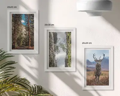 Conjunto de 3 quadros decorativos com estampa de estrada na floresta, montanhas e veados