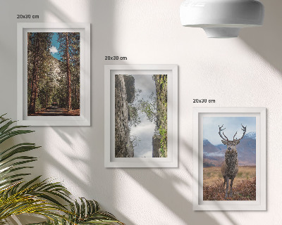 Conjunto de 3 quadros decorativos Estrada na floresta, montanhas e veados na natureza.