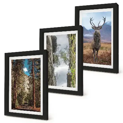 Conjunto de 3 quadros decorativos com estampa de estrada na floresta, montanhas e veados