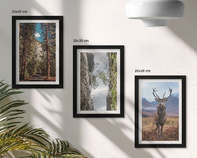 Conjunto de 3 quadros decorativos Estrada na floresta, montanhas e veados na natureza.