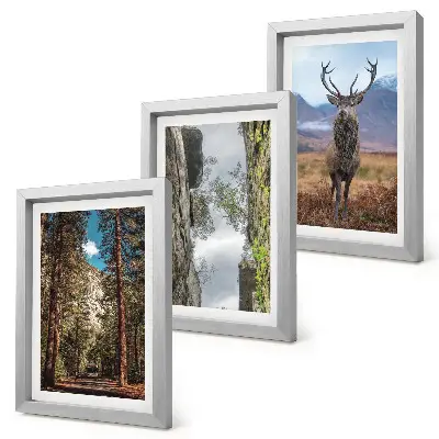 Conjunto de 3 quadros decorativos com estampa de estrada na floresta, montanhas e veados
