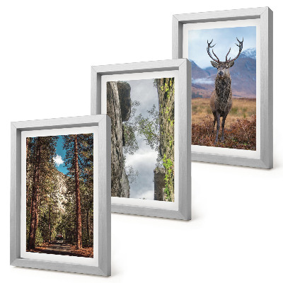 Conjunto de 3 quadros decorativos Estrada na floresta, montanhas e veados na natureza.