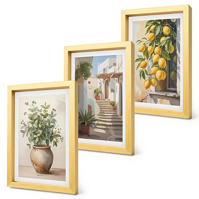Conjunto de 3 quadros decorativos com estampa de vasos de plantas e limões em rua