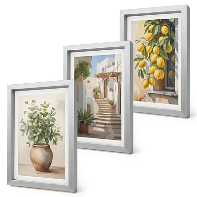 Conjunto de 3 quadros decorativos com estampa de vasos de plantas e limões em rua