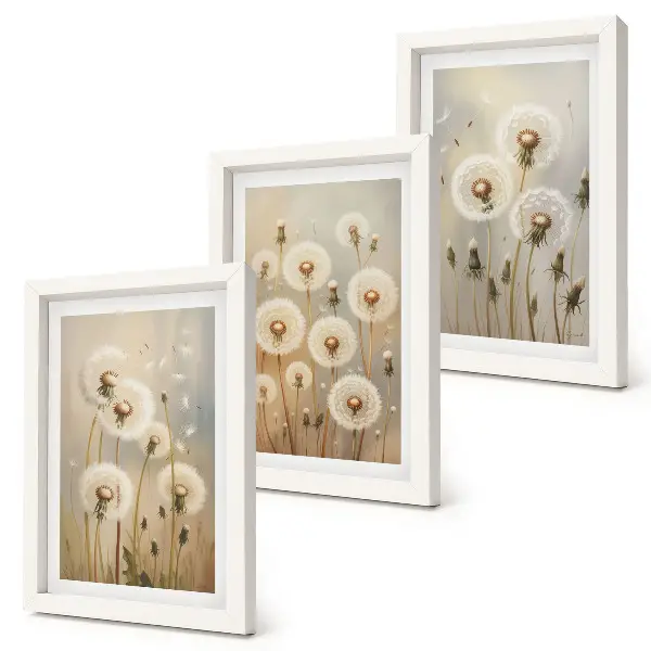 Conjunto de 3 quadros decorativos dentes-de-leão brancos com fundo de cores vibrantes