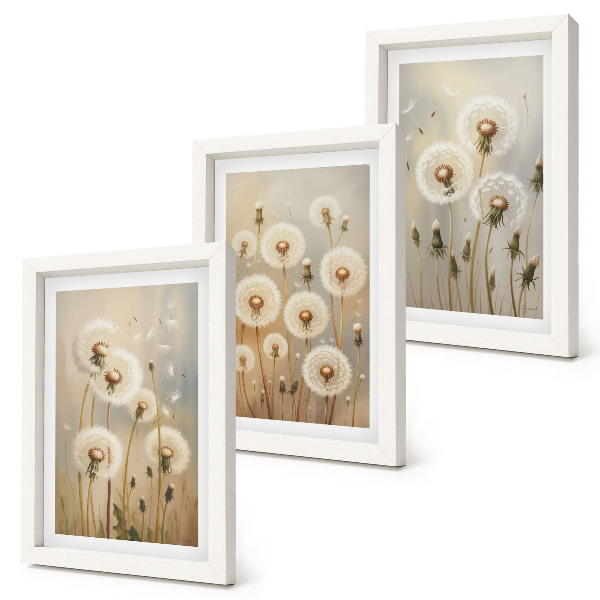 Conjunto de 3 quadros decorativos Dentes-de-leão brancos contra um fundo de cores vibrantes.
