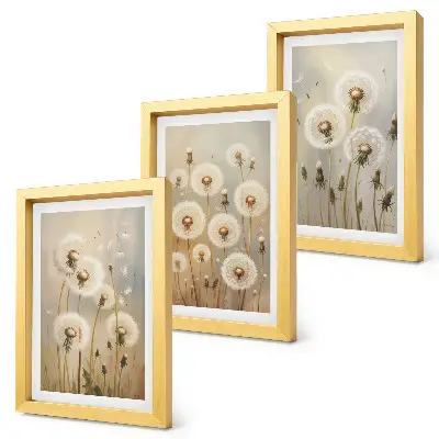 Conjunto de 3 quadros decorativos dentes-de-leão brancos com fundo de cores vibrantes