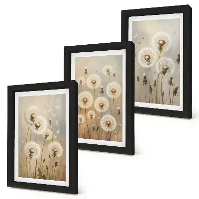 Conjunto de 3 quadros decorativos dentes-de-leão brancos com fundo de cores vibrantes