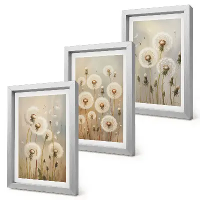 Conjunto de 3 quadros decorativos dentes-de-leão brancos com fundo de cores vibrantes