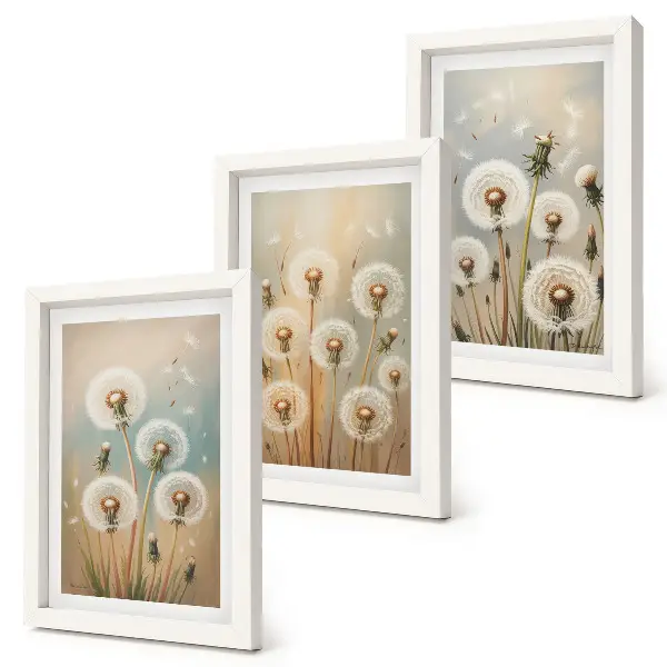 Conjunto de quadros com imagens flores de dente-de-leão em fundo de cores pastel