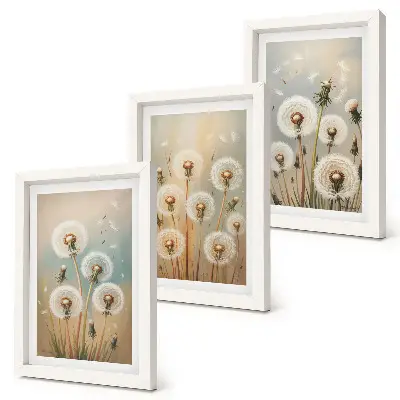 Conjunto de quadros com imagens flores de dente-de-leão em fundo de cores pastel