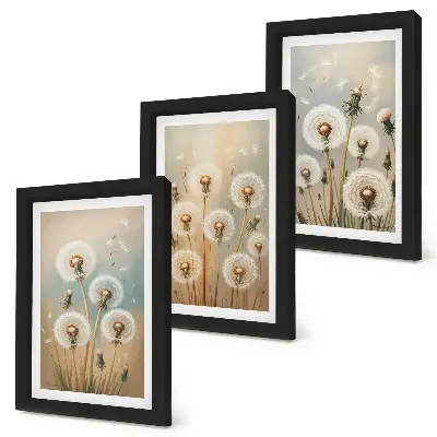 Conjunto de quadros com imagens flores de dente-de-leão em fundo de cores pastel
