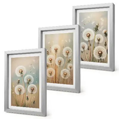 Conjunto de quadros com imagens flores de dente-de-leão em fundo de cores pastel