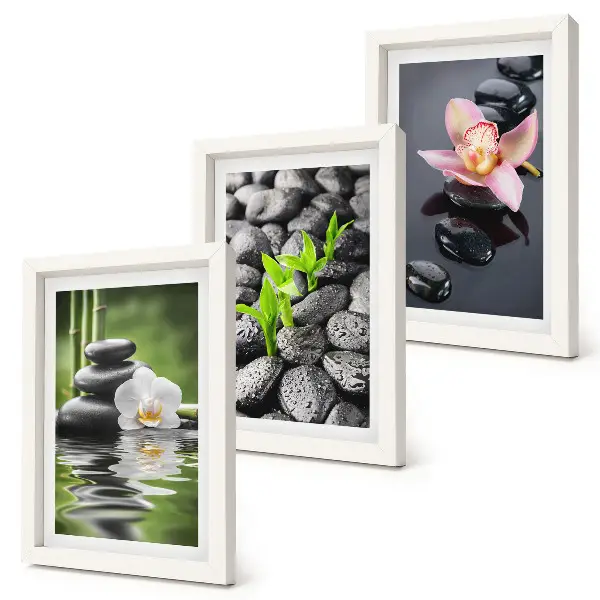 Conjunto de quadros com imagens composição zen de pedras e flores sobre a água