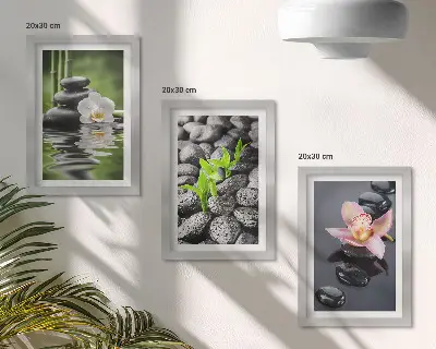 Conjunto de quadros com imagens composição zen de pedras e flores sobre a água