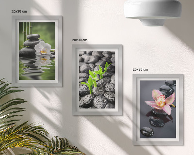 Conjunto de molduras com imagens Uma composição zen serena de pedras e flores sobre a água.