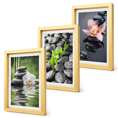 Conjunto de molduras com imagens Uma composição zen serena de pedras e flores sobre a água.