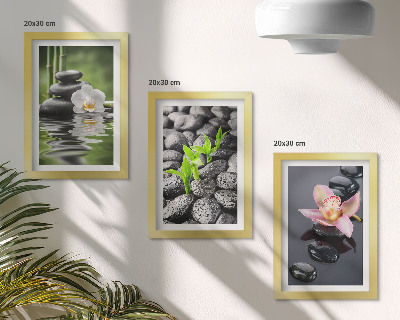Conjunto de molduras com imagens Uma composição zen serena de pedras e flores sobre a água.