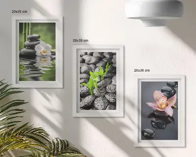 Conjunto de quadros com imagens composição zen de pedras e flores sobre a água