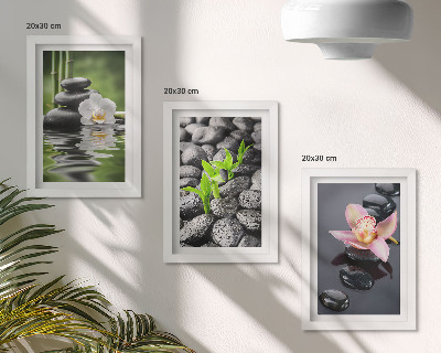 Conjunto de molduras com imagens Uma composição zen serena de pedras e flores sobre a água.