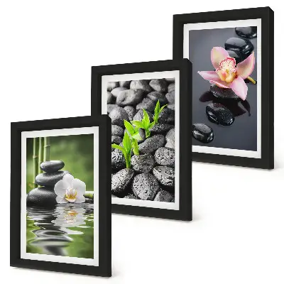 Conjunto de quadros com imagens composição zen de pedras e flores sobre a água