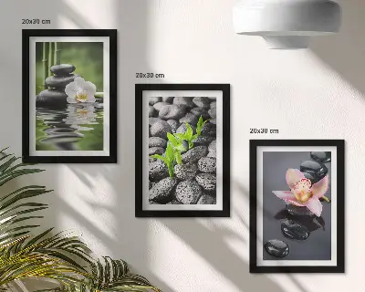 Conjunto de quadros com imagens composição zen de pedras e flores sobre a água