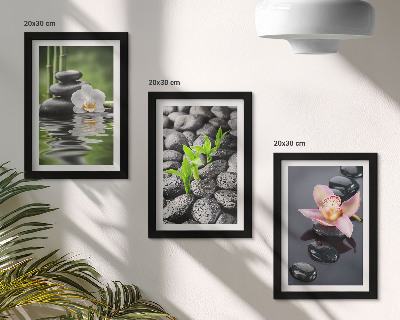 Conjunto de molduras com imagens Uma composição zen serena de pedras e flores sobre a água.