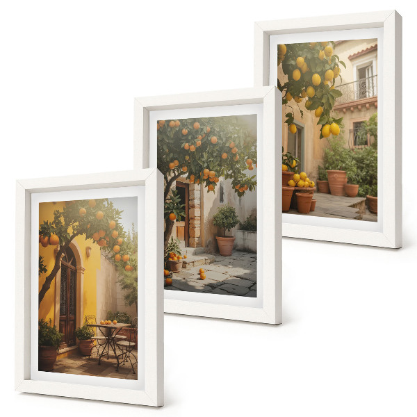 Conjunto de 3 quadros decorativos Pátio ensolarado com árvores cítricas e vasos.