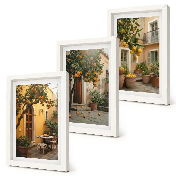 Conjunto de molduras com imagens jardim com árvores cítricas em um local ensolarado