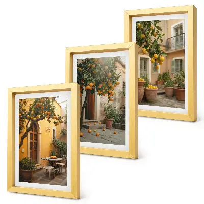 Conjunto de molduras com imagens jardim com árvores cítricas em um local ensolarado