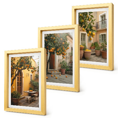 Conjunto de molduras com imagens Um jardim com árvores cítricas em um local ensolarado.
