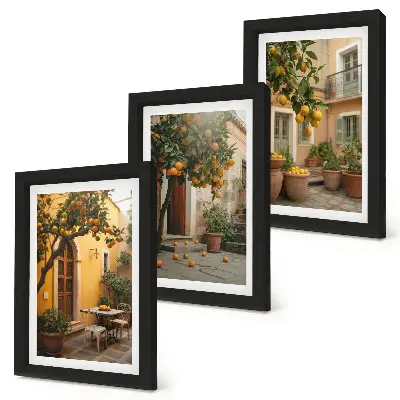 Conjunto de molduras com imagens jardim com árvores cítricas em um local ensolarado
