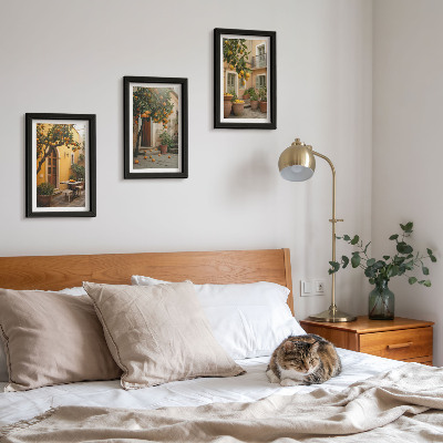 Conjunto de molduras com imagens Um jardim com árvores cítricas em um local ensolarado.